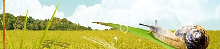 &#29233;&#28216;&#25103;&#23448;&#26041;&#32593;&#31449;&#45;&#29233;&#28216;&#25103;&#20840;&#31449;&#65;&#80;&#80;&#40;&#97;&#121;&#120;&#41;&#20013;&#22269;&#23448;&#26041;&#32593;&#31449;
